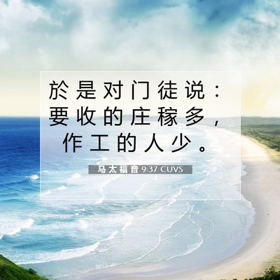 Picture 07 - 马 太 福 音 9:37 CUVS - 於 是 对 门 徒 说 ： 要 收 的 庄 稼 - Bible Verse Picture