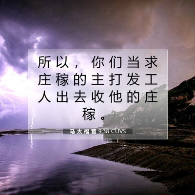 Picture 07 - 马 太 福 音 9:38 CUVS - 所 以 ， 你 们 当 求 庄 稼 的 主 打 - Bible Verse Picture