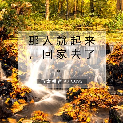 Picture 07 - 马 太 福 音 9:7 CUVS - 那 人 就 起 来 ， 回 家 去 了 - Bible Verse Picture