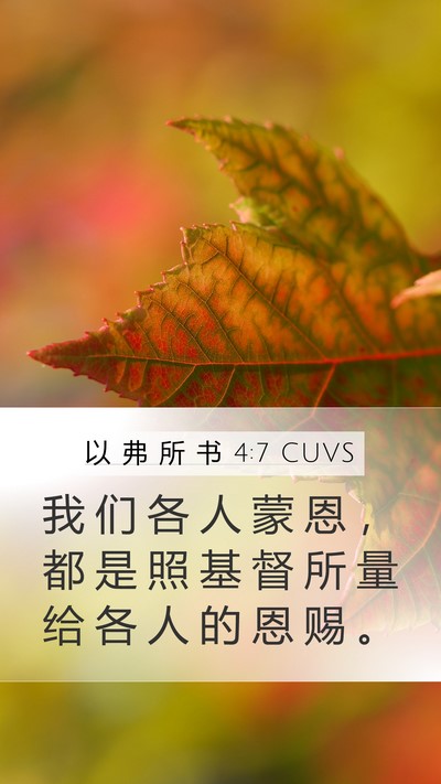 以 弗 所 书 4:7 CUVS Mobile Phone Wallpaper - 我 们 各 人 蒙 恩 ， 都 是 照 基 督 - Mobile Bible Verse Wallpaper