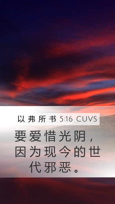 以 弗 所 书 5:16 CUVS Bible Verse Image