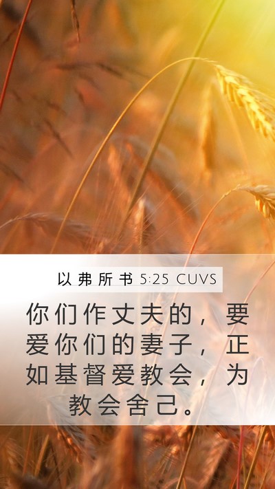以 弗 所 书 5:25 CUVS Bible Verse Image