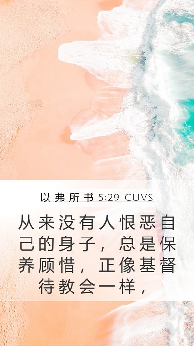 以 弗 所 书 5:29 CUVS Mobile Phone Wallpaper - 从 来 没 有 人 恨 恶 自 己 的 身 子 - Mobile Bible Verse Wallpaper