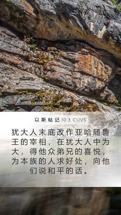 以 斯 帖 记 10:3 CUVS Bible Verse Image