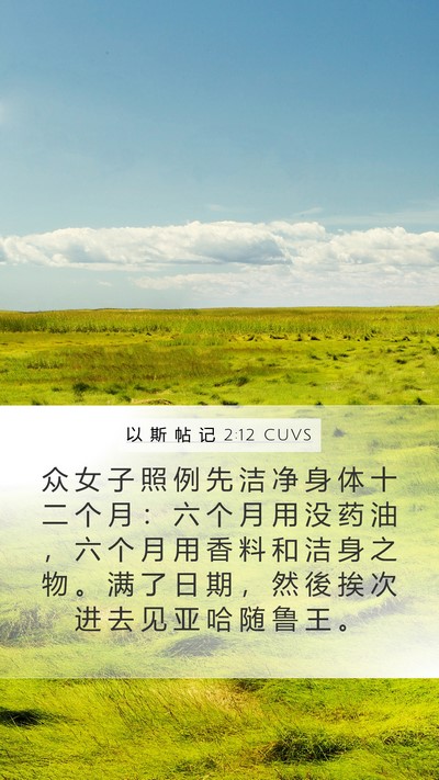 以 斯 帖 记 2:12 CUVS Bible Verse Image