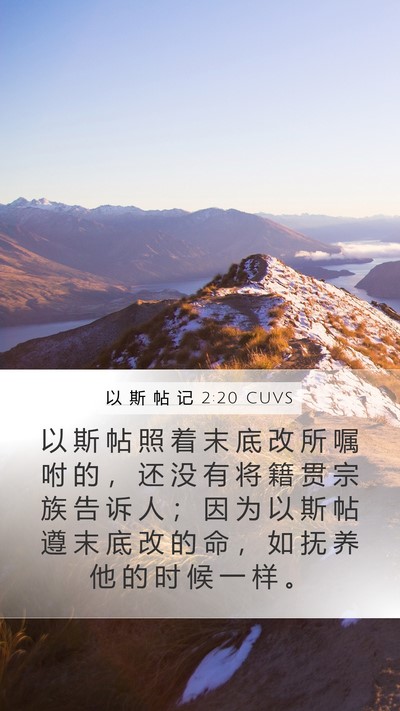 以 斯 帖 记 2:20 CUVS Bible Verse Image