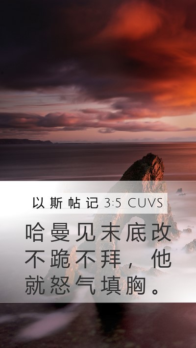 以 斯 帖 记 3:5 CUVS Bible Verse Image