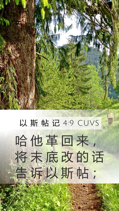 以 斯 帖 记 4:9 CUVS Mobile Phone Wallpaper - 哈 他 革 回 来 ， 将 末 底 改 的 话 - Mobile Bible Verse Wallpaper