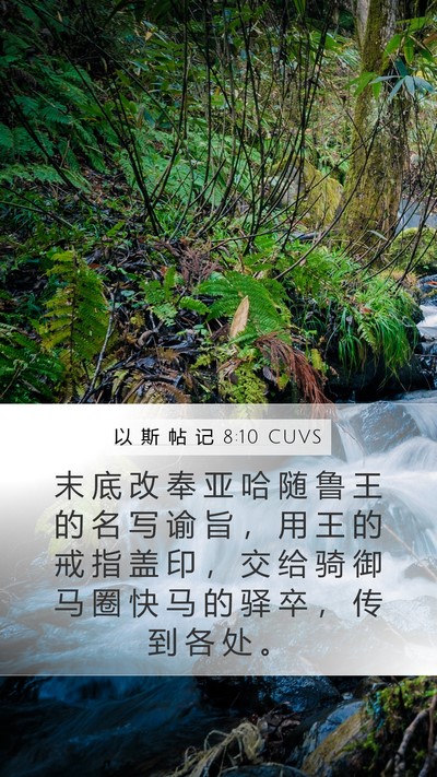 以 斯 帖 记 8:10 CUVS Bible Verse Image