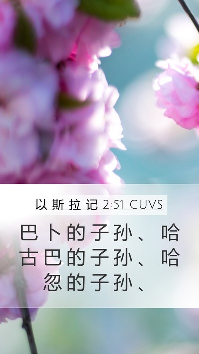 以 斯 拉 记 2:51 CUVS Mobile Phone Wallpaper - 巴 卜 的 子 孙 、 哈 古 巴 的 子 孙 - Mobile Bible Verse Wallpaper