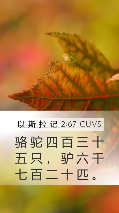 以 斯 拉 记 2:67 CUVS Mobile Phone Wallpaper - 骆 驼 四 百 三 十 五 只 ， 驴 六 千 - Mobile Bible Verse Wallpaper