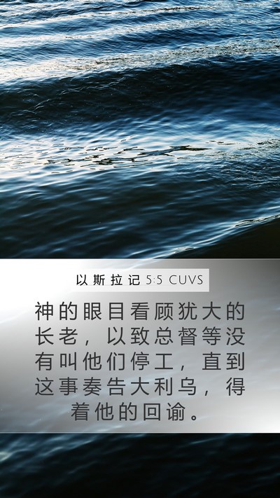 以 斯 拉 记 5:5 CUVS Bible Verse Image