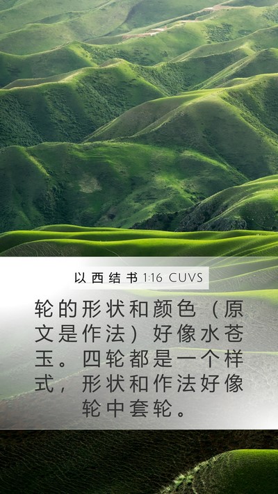 以 西 结 书 1:16 CUVS Bible Verse Image