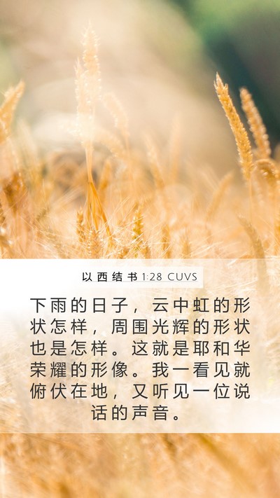 以 西 结 书 1:28 CUVS Bible Verse Image