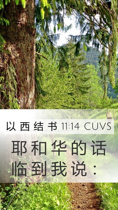 以 西 结 书 11:14 CUVS Mobile Phone Wallpaper - 耶 和 华 的 话 临 到 我 说 - Mobile Bible Verse Wallpaper