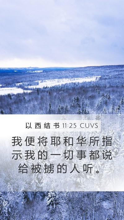 以 西 结 书 11:25 CUVS Bible Verse Image