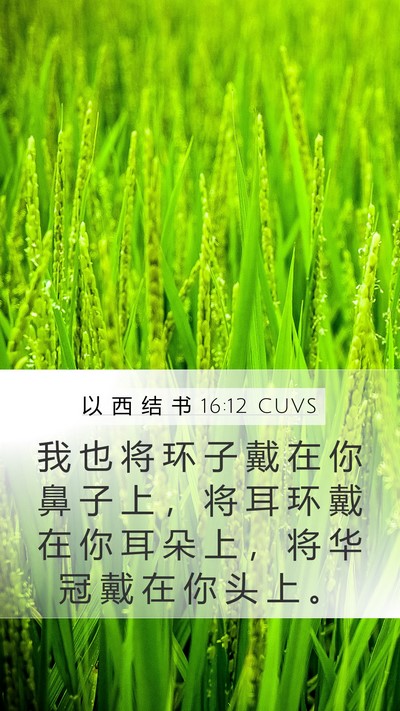 以 西 结 书 16:12 CUVS Bible Verse Image