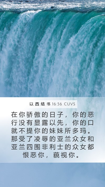 以 西 结 书 16:56 CUVS Bible Verse Image