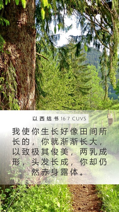 以 西 结 书 16:7 CUVS Bible Verse Image