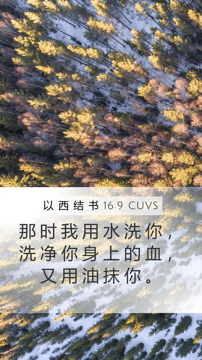 以 西 结 书 16:9 CUVS Mobile Phone Wallpaper - 那 时 我 用 水 洗 你 ， 洗 净 你 身 - Mobile Bible Verse Wallpaper