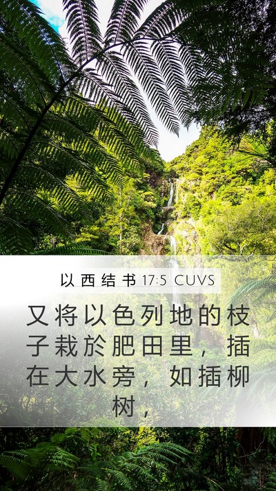以 西 结 书 17:5 CUVS Bible Verse Image