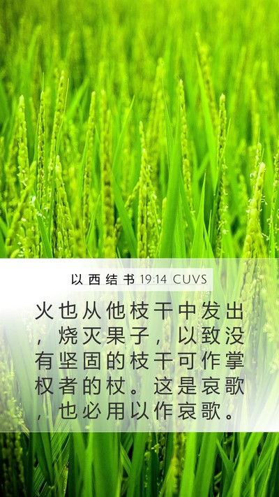 以 西 结 书 19:14 CUVS Bible Verse Image