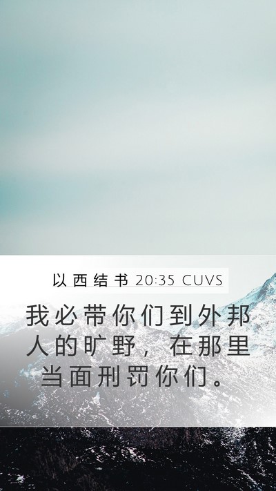 以 西 结 书 20:35 CUVS Bible Verse Image