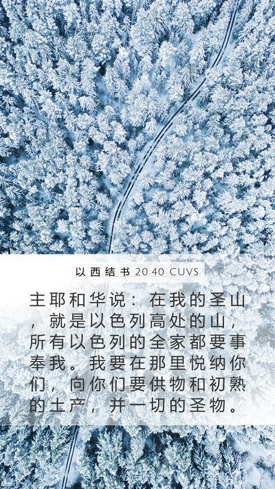 以 西 结 书 20:40 CUVS Bible Verse Image