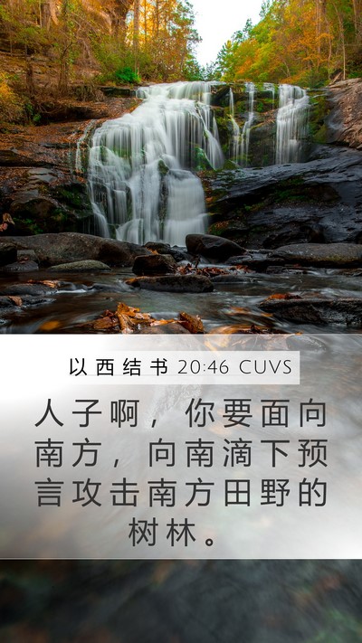 以 西 结 书 20:46 CUVS Bible Verse Image
