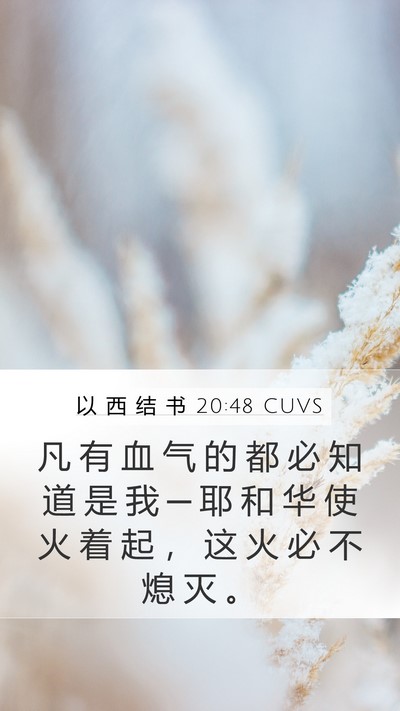以 西 结 书 20:48 CUVS Bible Verse Image