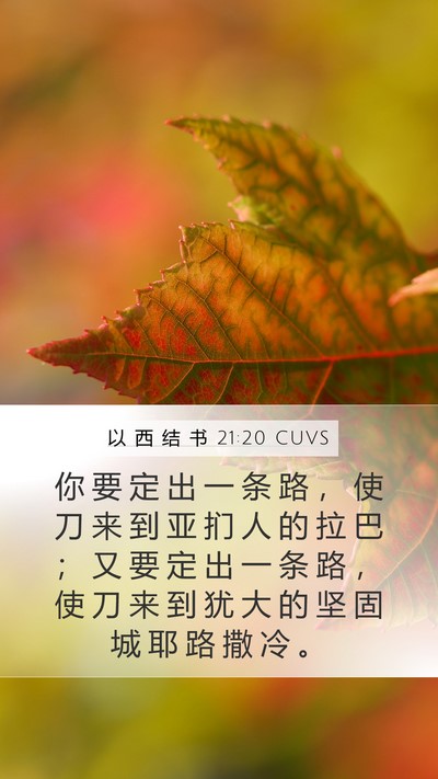 以 西 结 书 21:20 CUVS Bible Verse Image