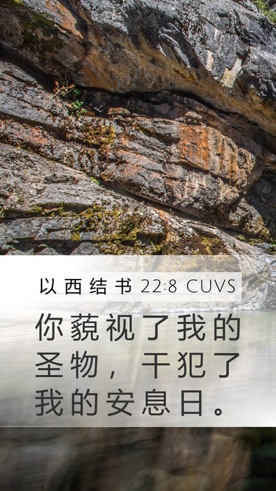 以 西 结 书 22:8 CUVS Bible Verse Image