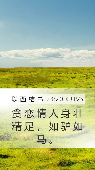 以 西 结 书 23:20 CUVS Bible Verse Image