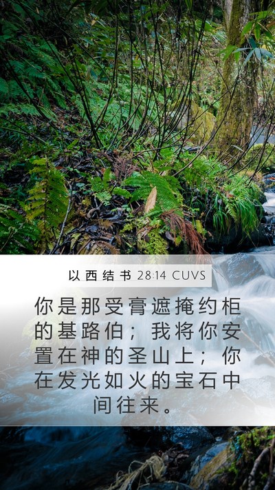 以 西 结 书 28:14 CUVS Bible Verse Image