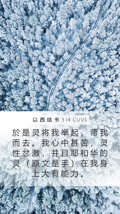 以 西 结 书 3:14 CUVS Bible Verse Image