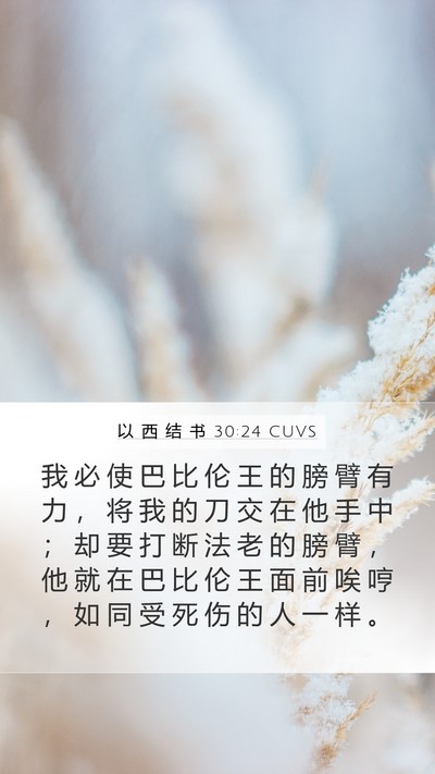 以 西 结 书 30:24 CUVS Bible Verse Image