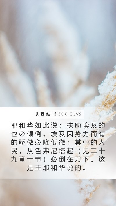 以 西 结 书 30:6 CUVS Bible Verse Image