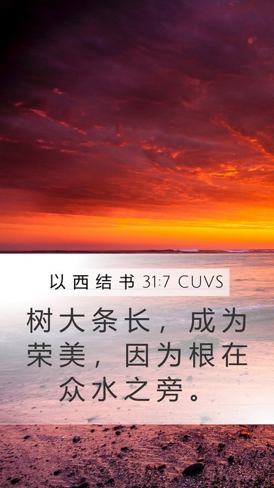 以 西 结 书 31:7 CUVS Mobile Phone Wallpaper - 树 大 条 长 ， 成 为 荣 美 ， 因 为 - Mobile Bible Verse Wallpaper