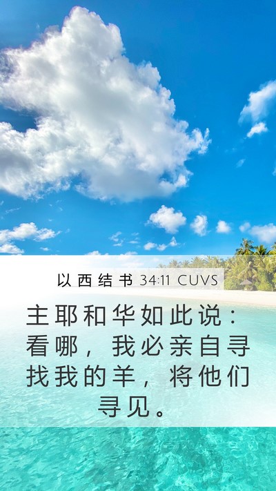以 西 结 书 34:11 CUVS Bible Verse Image