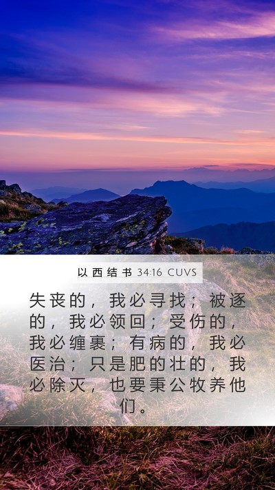 以 西 结 书 34:16 CUVS Bible Verse Image