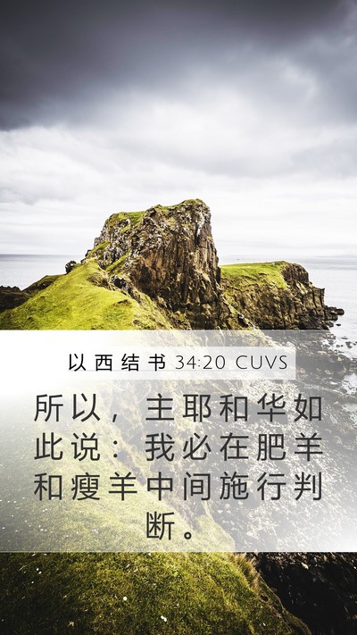 以 西 结 书 34:20 CUVS Bible Verse Image
