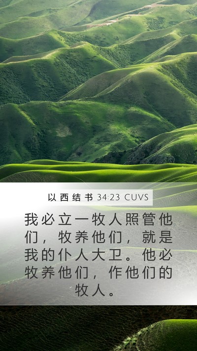 以 西 结 书 34:23 CUVS Bible Verse Image