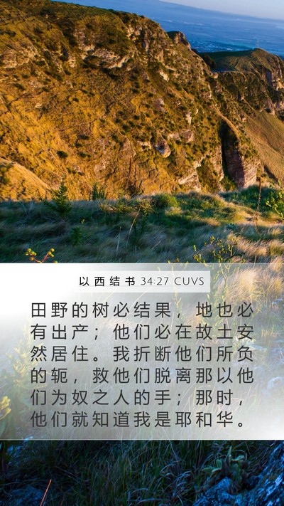 以 西 结 书 34:27 CUVS Bible Verse Image