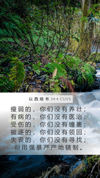 以 西 结 书 34:4 CUVS Mobile Phone Wallpaper - 瘦 弱 的 ， 你 们 没 有 养 壮 ； 有 - Mobile Bible Verse Wallpaper