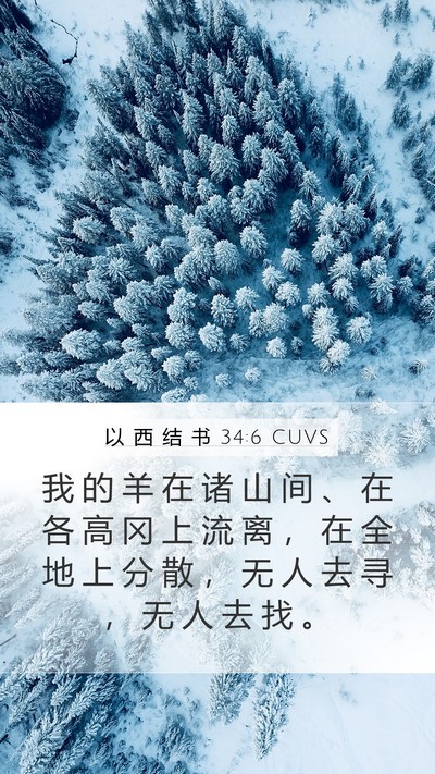 以 西 结 书 34:6 CUVS Bible Verse Image