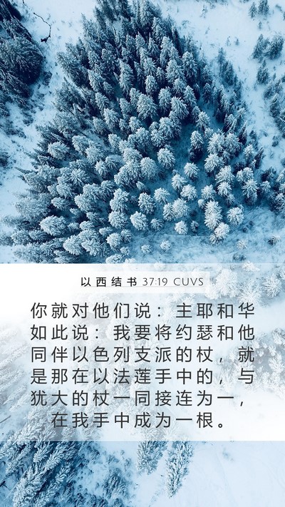 以 西 结 书 37:19 CUVS Bible Verse Image