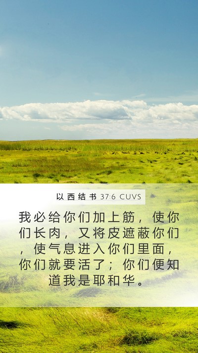 以 西 结 书 37:6 CUVS Bible Verse Image