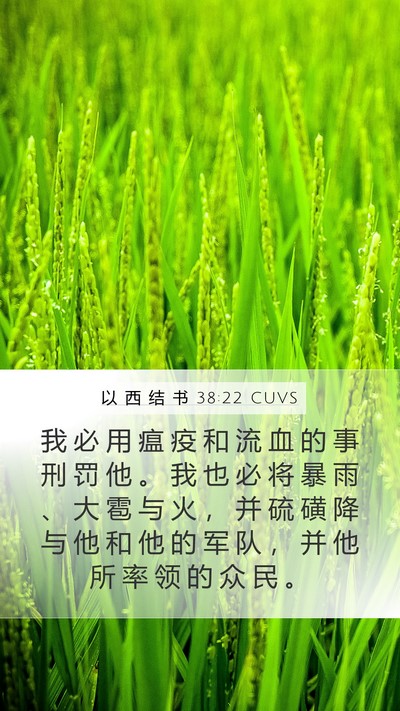 以 西 结 书 38:22 CUVS Bible Verse Image