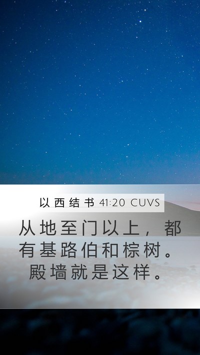 以 西 结 书 41:20 CUVS Bible Verse Image