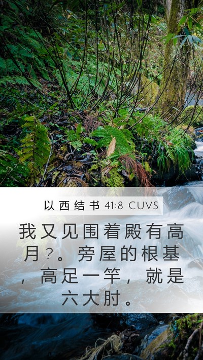 以 西 结 书 41:8 CUVS Bible Verse Image